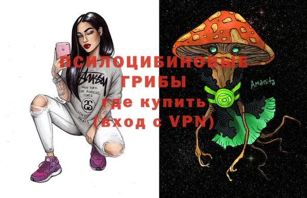 a pvp Тавда