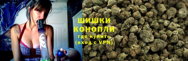 индика Белокуриха