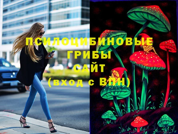 гашик Белоозёрский