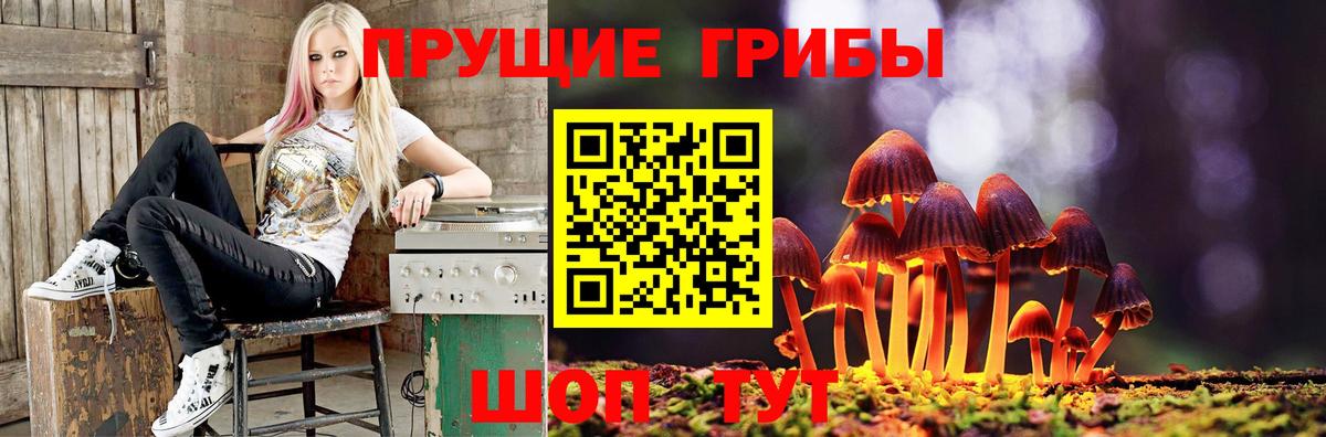 Галлюциногенные грибы MAGIC MUSHROOMS  Псилоцибиновые грибы Cubensis  Вход с VPN  что такое наркотик  Вязники 